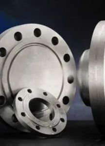 Hastelloy Flanges